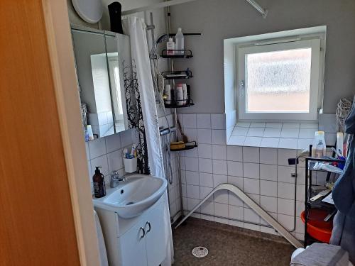 厄斯特松德Karls ställe的一间带水槽和窗户的浴室