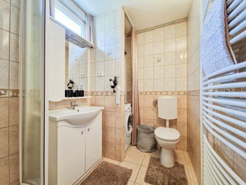 哈卡尼Lepke Apartman的一间带卫生间和水槽的小浴室