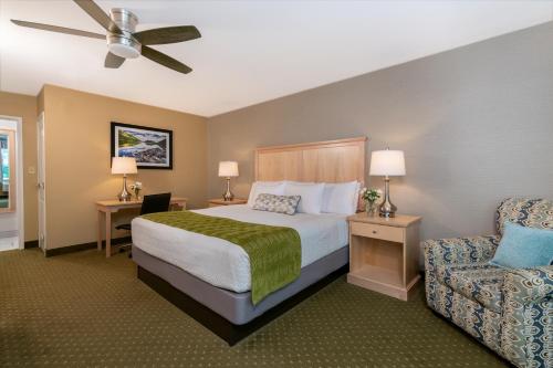巴港阿卡迪亚旅馆的配有一张床和一把椅子的酒店客房