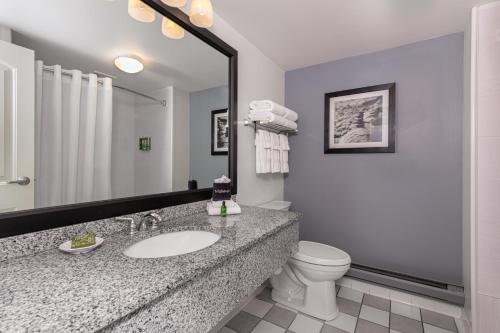 巴港阿卡迪亚旅馆的一间带水槽、卫生间和镜子的浴室