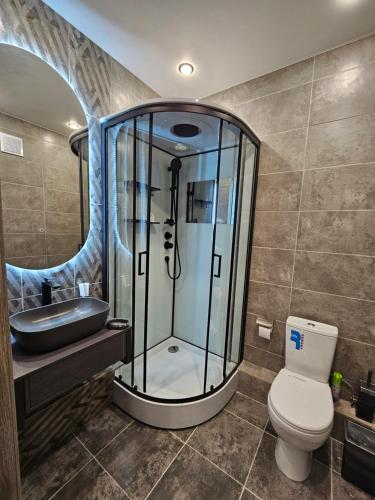 阿拉木图DeLuxe Apartments的带淋浴、卫生间和盥洗盆的浴室