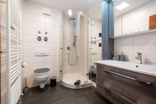 SteinenbronnNature Terminal Apartment - unterwegs zuhause的带淋浴、卫生间和盥洗盆的浴室