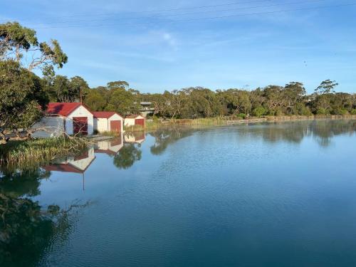 安吉西Anglesea Rivergums的享有河流美景,拥有房屋和树木