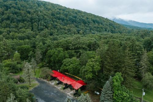 Mount TremperThe Leeway的森林中间房屋的空中景观