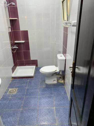 马萨阿拉姆Red sea Hotel Marsa Alam的浴室设有卫生间和蓝色瓷砖淋浴。