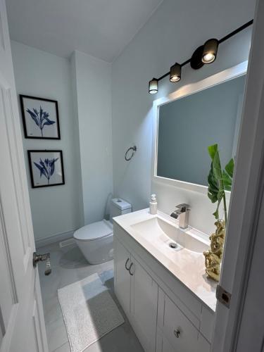 多伦多Toronto GREAT Located的一间带水槽、卫生间和镜子的浴室