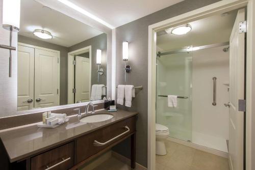 BerlinHomewood Suites by Hilton Boston Marlborough的一间带水槽、淋浴和卫生间的浴室