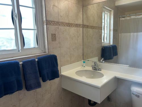 洛杉矶迎宾住宿加早餐旅馆的浴室设有水槽、镜子和蓝色毛巾