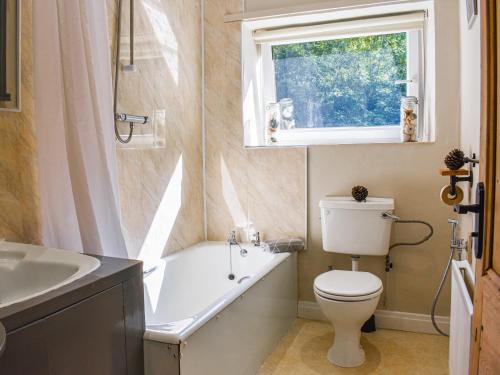 CopleyBrookside Cottage的一间带卫生间、水槽和窗户的浴室