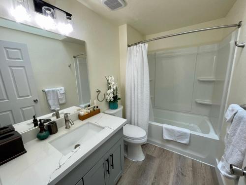 塔科马Tacoma 2 bedrooms 1 baths sleep 5 with compact kitchen的一间带水槽、卫生间和淋浴的浴室