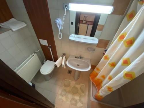 加尔多尼维京酒店的一间带卫生间和水槽的小浴室