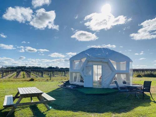 GlenroyCoonawarra Hampton Bubble 1的田野上的一个小帐篷和一张野餐桌