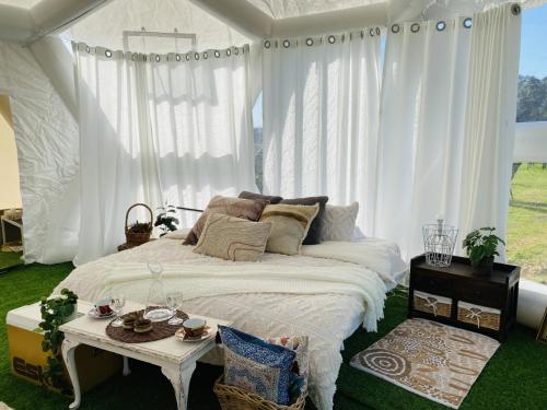 ComaumCoonawarra Hampton Bubble 2的一张位于带白色窗帘和桌子的房间的床铺