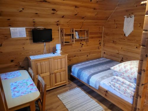 波拉齐克Domki u Łosia Bieszczady & Sauna的小木屋内一间卧室配有一张床和一台电视