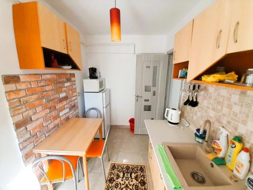 巴克乌Apartment Eminescu - A pleasant stay in Bacau的一个带水槽和砖墙的小厨房