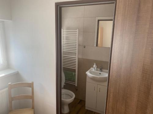 Mariánské RadčicePenzion Norden的一间带卫生间、水槽和镜子的浴室