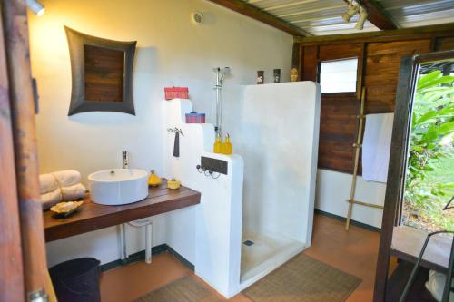 ArgyTree Lodge Mauritius Villa的一间带水槽和淋浴的浴室