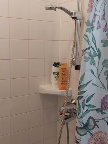 瓦尔考斯Nostalginen residenssi Taika的带淋浴和浴帘的浴室