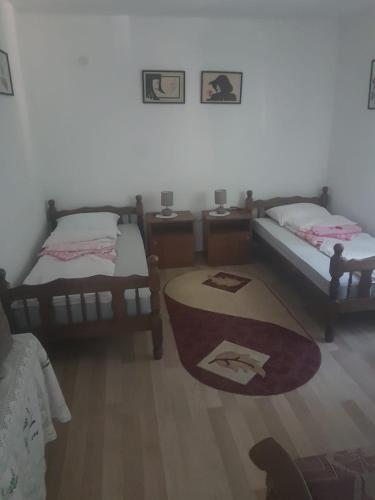索科矿泉村VILA MILA SOKOBANJA的卧室配有两张床,地板上铺有地毯。