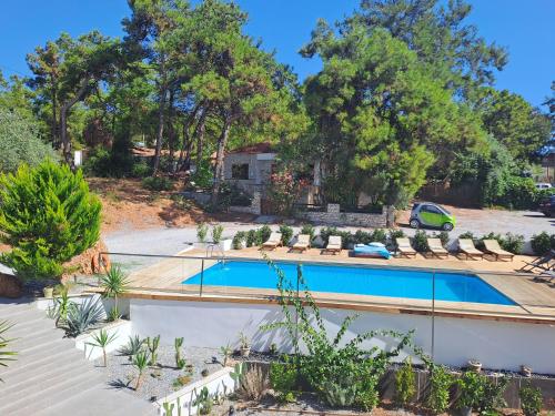 佩弗卡里卡帕西海滩酒店的庭院内的游泳池,带椅子和树木