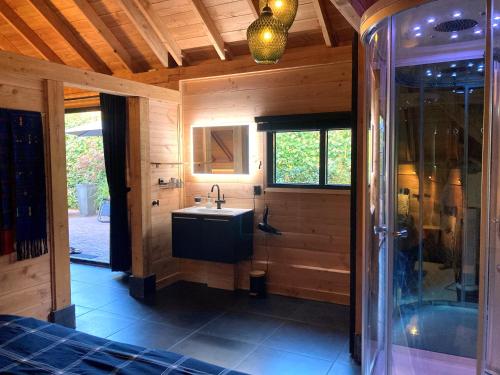 The Miller's Lodge B&B的客房内设有带水槽和淋浴的浴室