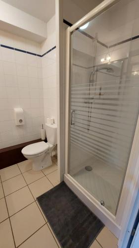IdronLibre comme l'air !的浴室设有玻璃淋浴间和卫生间