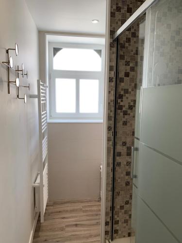 阿尔贝COTTAGE DU PARC的一间带窗户和步入式淋浴间的浴室