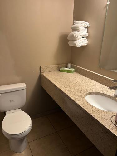 劳埃德明斯特瑟达汽车旅馆的浴室配有卫生间、水槽和毛巾。