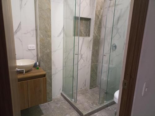 帕尔米拉Apartamento moderno céntrico Palmira的一间带玻璃淋浴和水槽的浴室