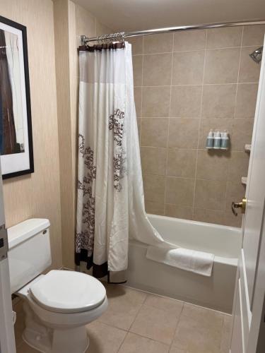 米西索加Queen bed available的一间带卫生间和淋浴帘的浴室