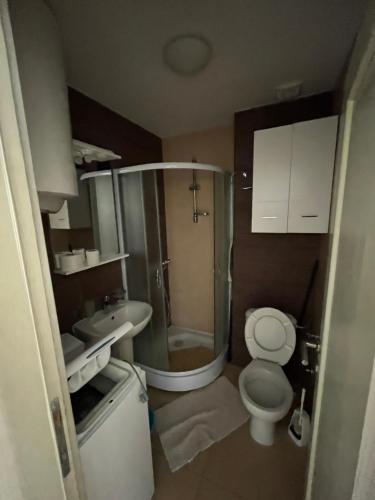 佩特罗瓦纳莫鲁Petrovac apartment的带淋浴、卫生间和盥洗盆的浴室