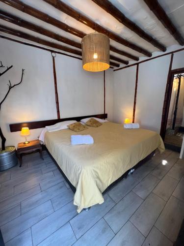 卢那欢纳Refugio de Santiago Ecolodge的一间卧室,卧室内配有一张大床