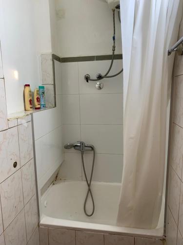 贝尔格莱德Downtown Belgrade Homestay的浴室内配有淋浴帘。