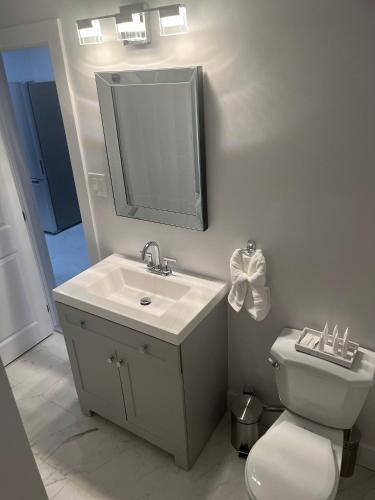 渥太华Casa LACK - Tranquila Suites 3的一间带水槽、卫生间和镜子的浴室