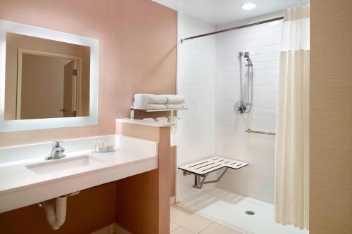 弗拉特罗克Fairfield Inn & Suites by Marriott Hendersonville Flat Rock的一间带水槽和淋浴的浴室