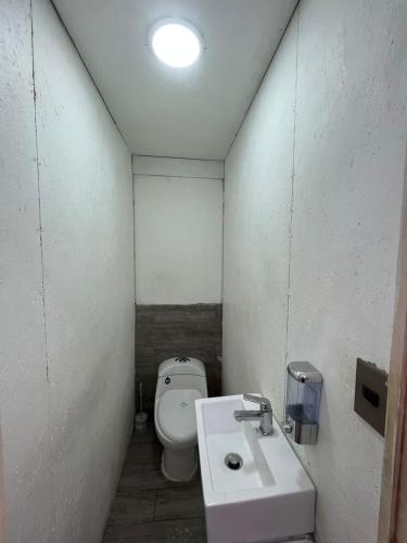 塔尔卡Constanza的一间带卫生间和水槽的小浴室