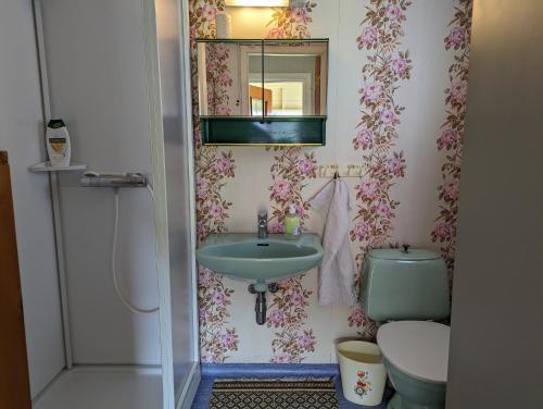 SandSommarhus i Lofoten的一间带水槽、卫生间和镜子的浴室