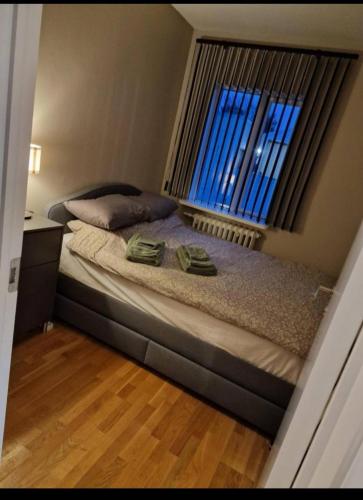 凯夫拉维克Sól - S12 guesthouse的一间小卧室,配有一张带窗户的床