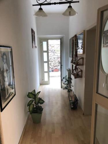 卡斯蒂里昂纳·德拉佩Appartamento incantevole a 100mt dal mare的走廊上,在房间里放着盆栽植物
