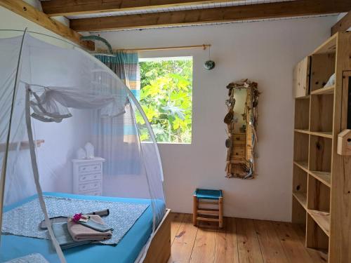 大博格P'tites chambres dans la campagne de Marie Galante的一间卧室设有天蓬床和窗户。