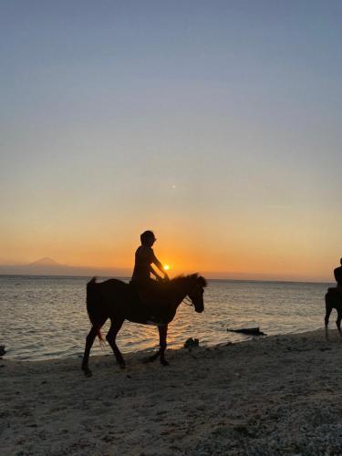 马塔兰Gili pelangi的日落时分在海滩上骑马的两人