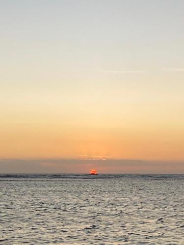 马塔兰Gili pelangi的太阳在地平线上日落