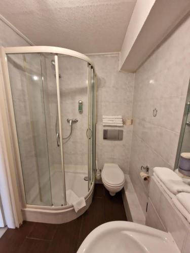 不莱梅不来梅加尼豪斯酒店的带淋浴、卫生间和盥洗盆的浴室