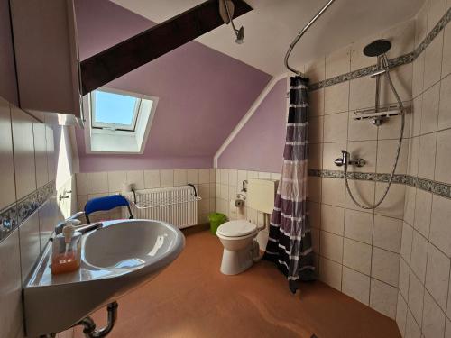 ColditzPension Zur Kutscherstube的一间带水槽和卫生间的浴室