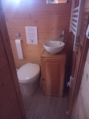 MarneferRoulotte的一间带卫生间和水槽的小浴室
