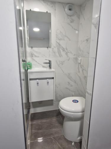 布里地区叙西L'auberge de Sucy的浴室配有白色卫生间和盥洗盆。