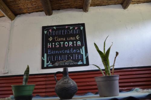 贝伦Casamora的一张桌子,上面有三株盆栽植物和一个墙上的标志