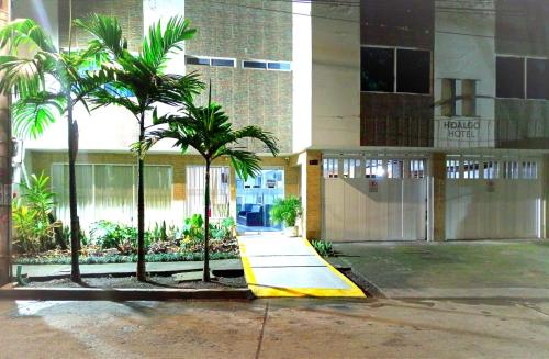 帕尔米拉HIDALGO HOTEL的一座棕榈树建筑前方的建筑