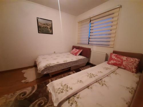 伊利扎APARTMAN ILIDZA- KUCA DVA SPRATA的客房设有两张床和窗户。