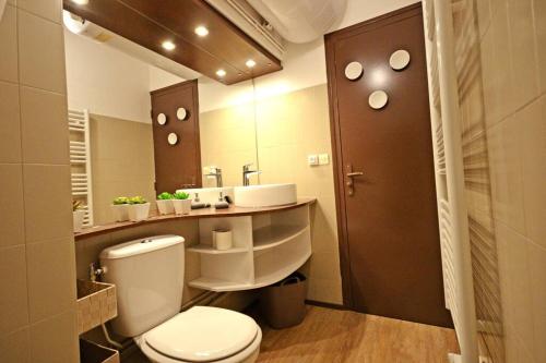 维拉尔-德朗Joli studio & Belle Vue + wifi的一间带卫生间和水槽的浴室